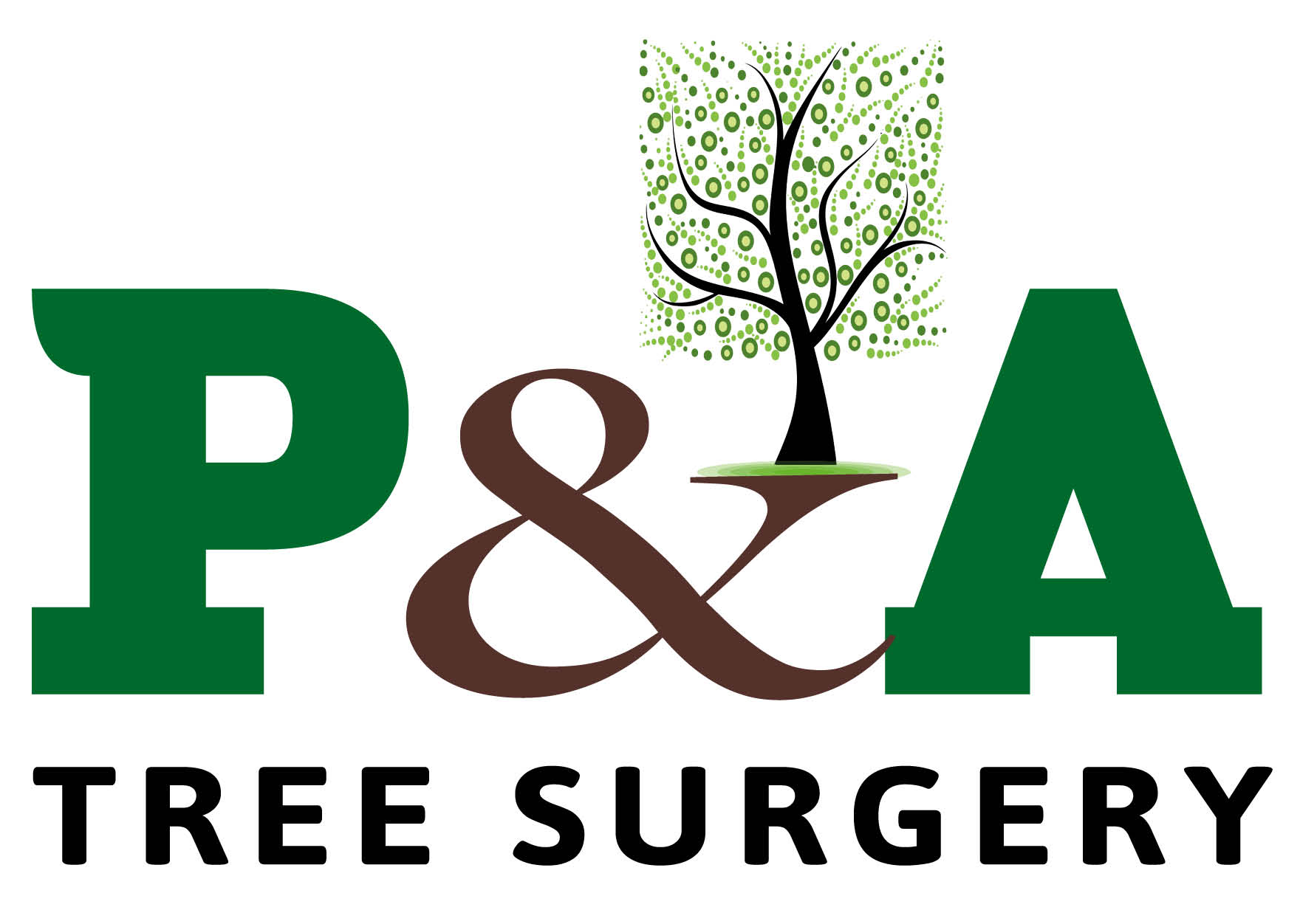 P A Logo
